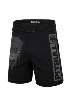 Pit Bull Trainingshorts Performance Pro Plus Born in 1989